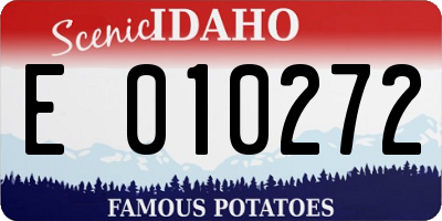 ID license plate E010272