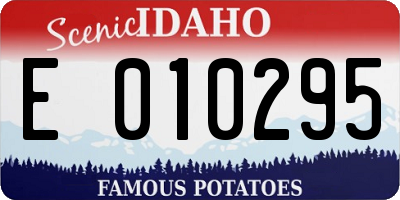 ID license plate E010295