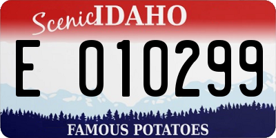 ID license plate E010299