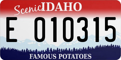 ID license plate E010315