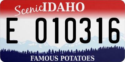 ID license plate E010316