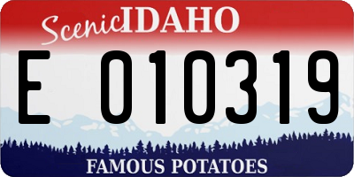 ID license plate E010319