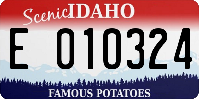 ID license plate E010324