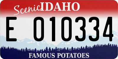 ID license plate E010334