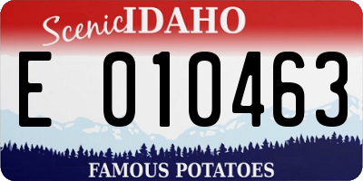 ID license plate E010463