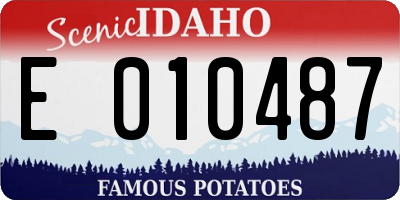 ID license plate E010487