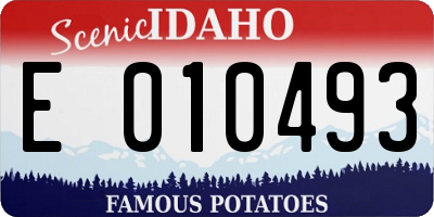 ID license plate E010493