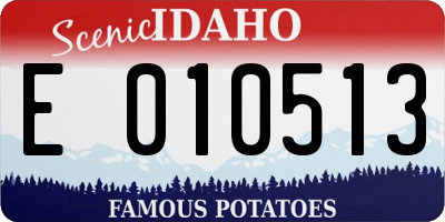 ID license plate E010513