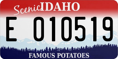 ID license plate E010519