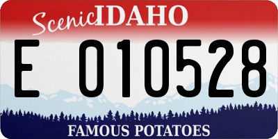ID license plate E010528
