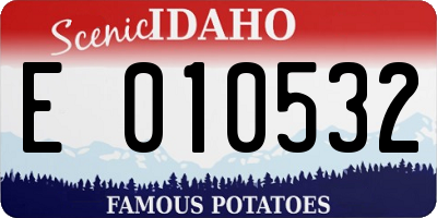 ID license plate E010532