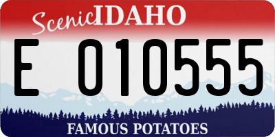 ID license plate E010555