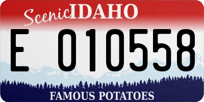 ID license plate E010558