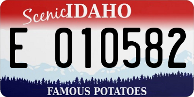 ID license plate E010582