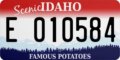 ID license plate E010584