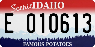 ID license plate E010613