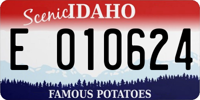 ID license plate E010624