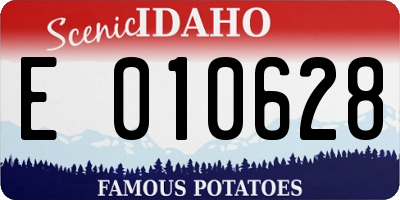 ID license plate E010628