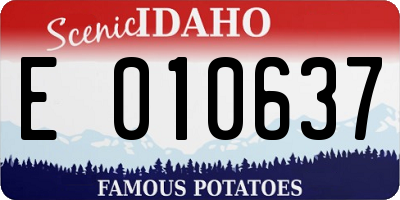 ID license plate E010637