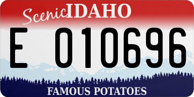 ID license plate E010696