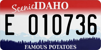 ID license plate E010736