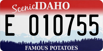 ID license plate E010755