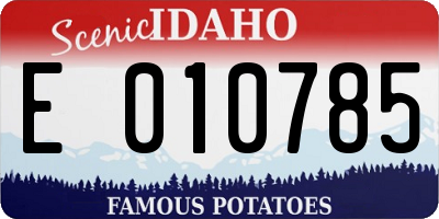 ID license plate E010785