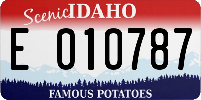 ID license plate E010787