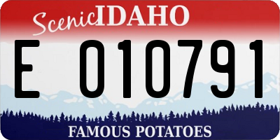 ID license plate E010791