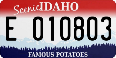 ID license plate E010803