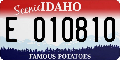 ID license plate E010810