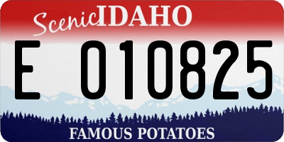 ID license plate E010825