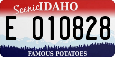 ID license plate E010828