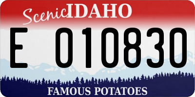 ID license plate E010830