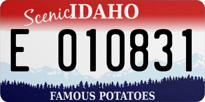 ID license plate E010831