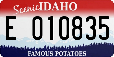 ID license plate E010835
