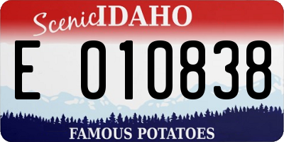 ID license plate E010838