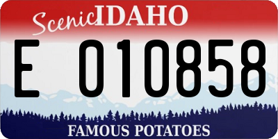 ID license plate E010858