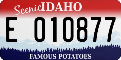 ID license plate E010877