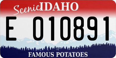 ID license plate E010891
