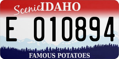 ID license plate E010894