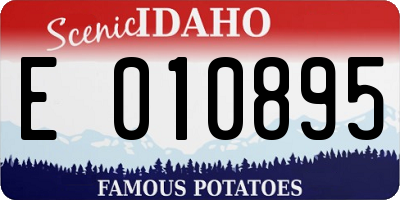 ID license plate E010895