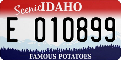 ID license plate E010899