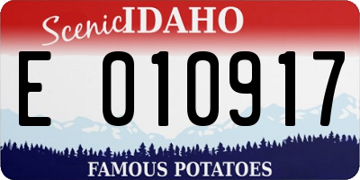 ID license plate E010917