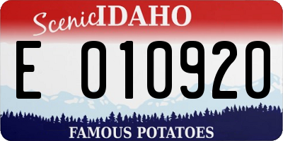 ID license plate E010920