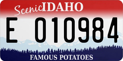 ID license plate E010984