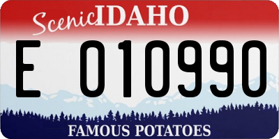 ID license plate E010990