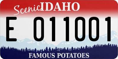 ID license plate E011001