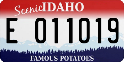 ID license plate E011019