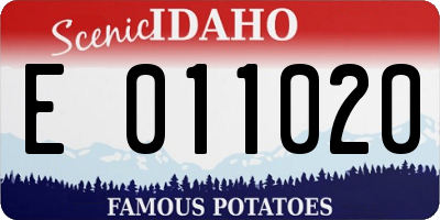 ID license plate E011020
